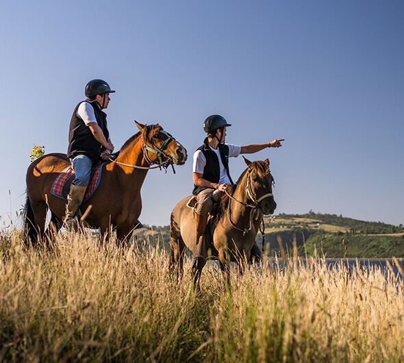 Passeios a cavalo com Refugia Chiloé