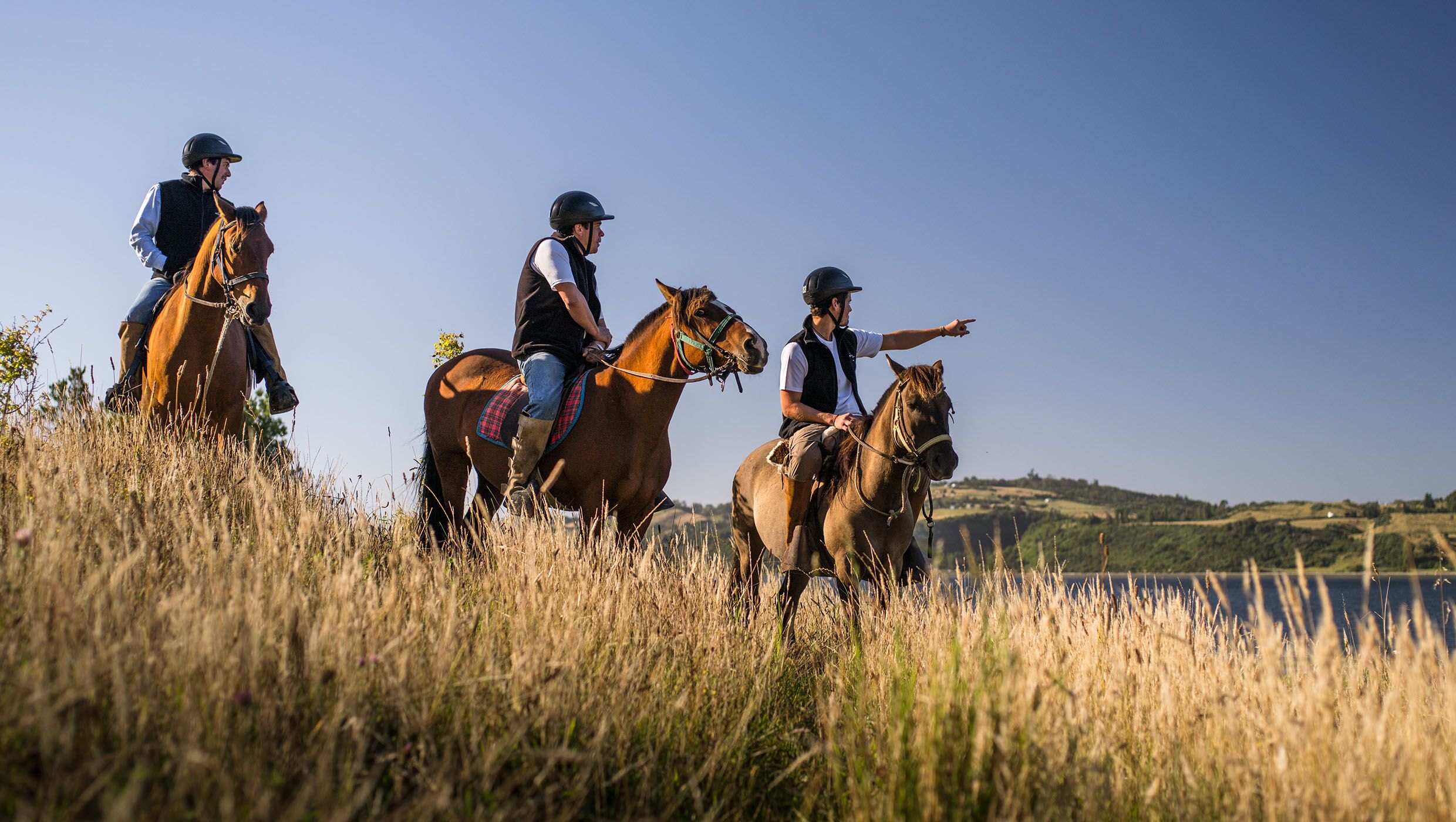 Horse-back riding in Chiloé