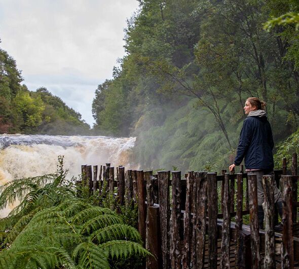 Parque Tepuhueico é uma iniciativa de conservação em Chiloé