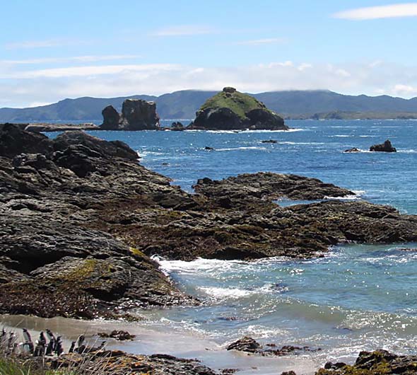 Parque Ahuenco, Chiloé