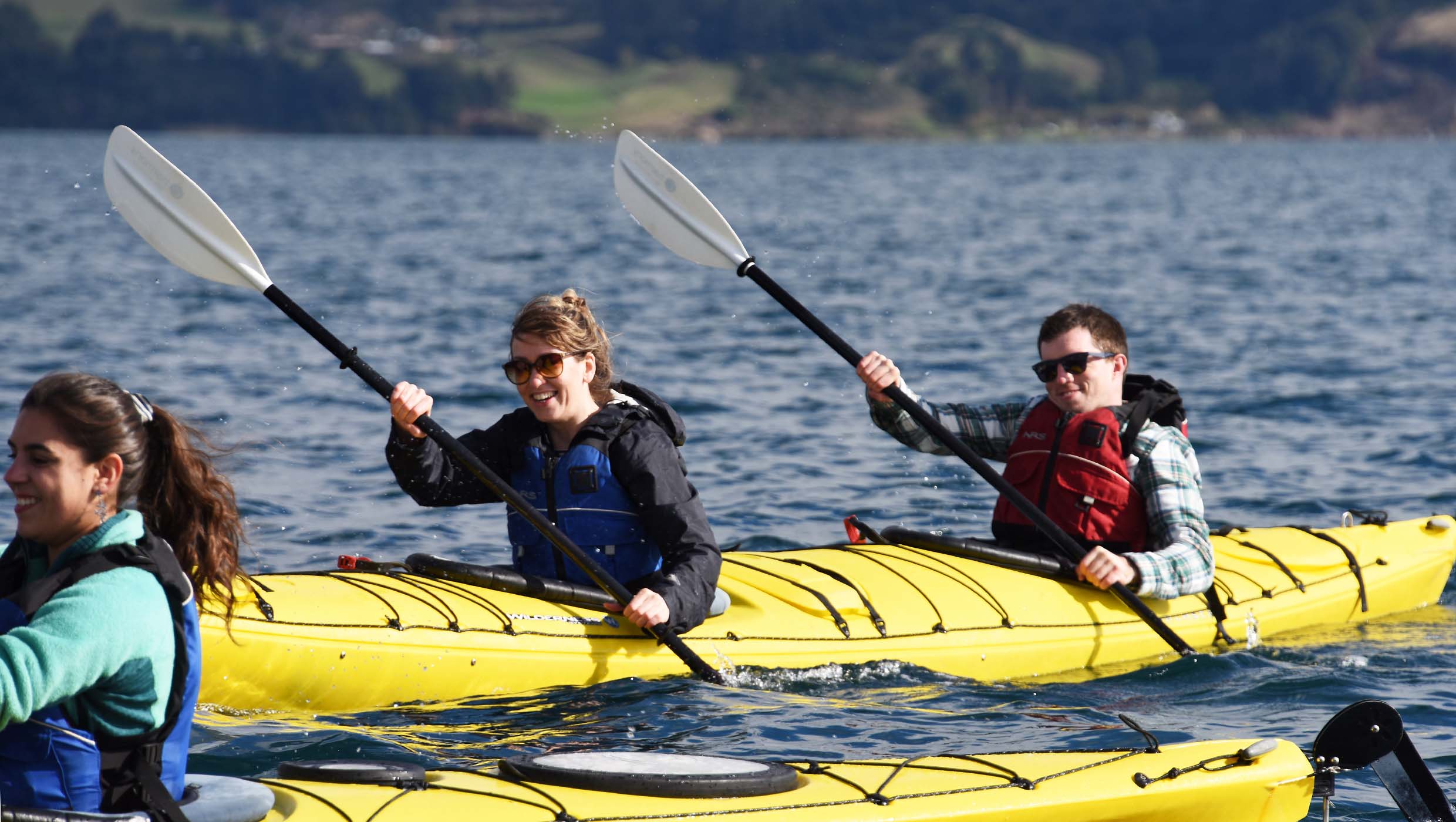 Kayaking trip in Chile: to see birds, dolphins and churches of Chiloé Island