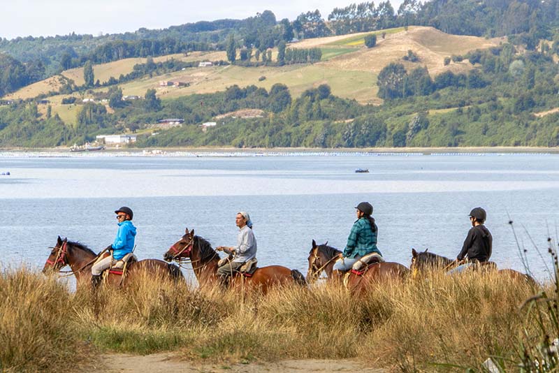 Horseback Riding Left
