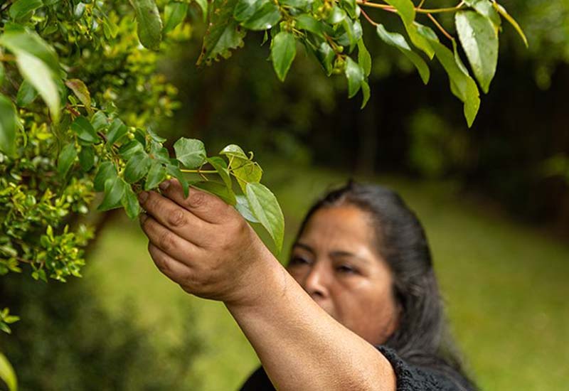 Our commitment to the environment