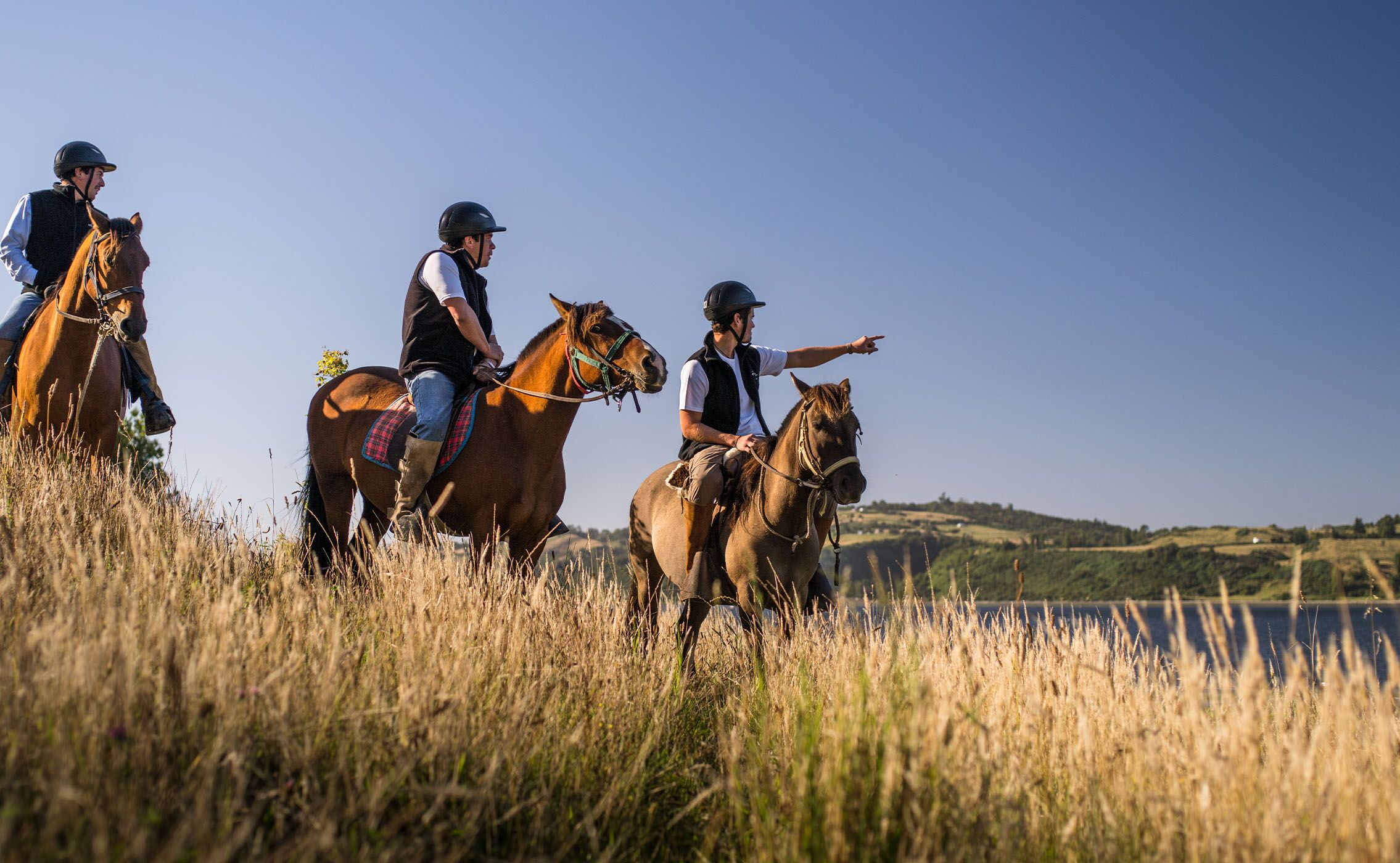 Passeios a cavalo com Refugia Chiloé