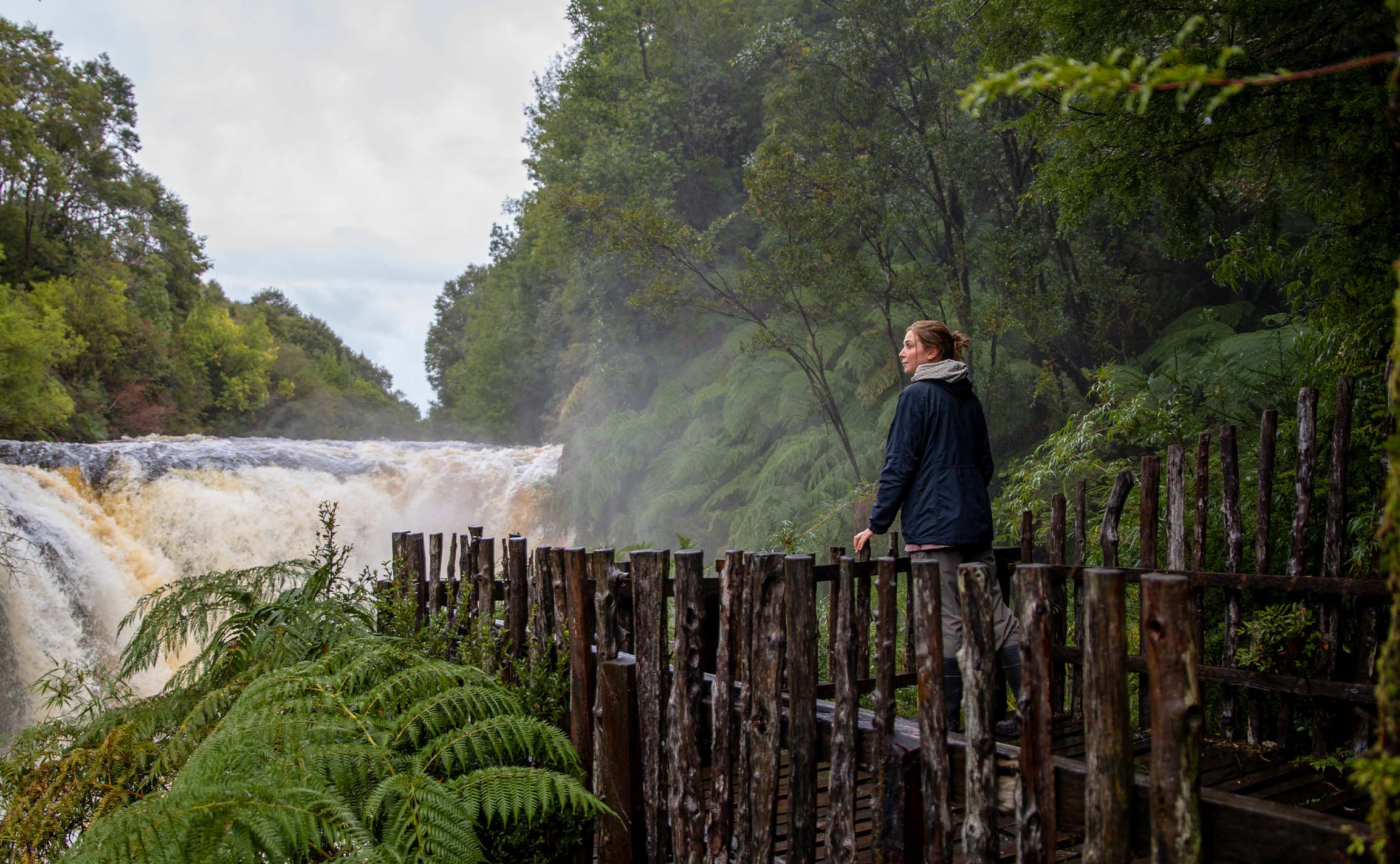 Parque Tepuhueico é uma iniciativa de conservação em Chiloé