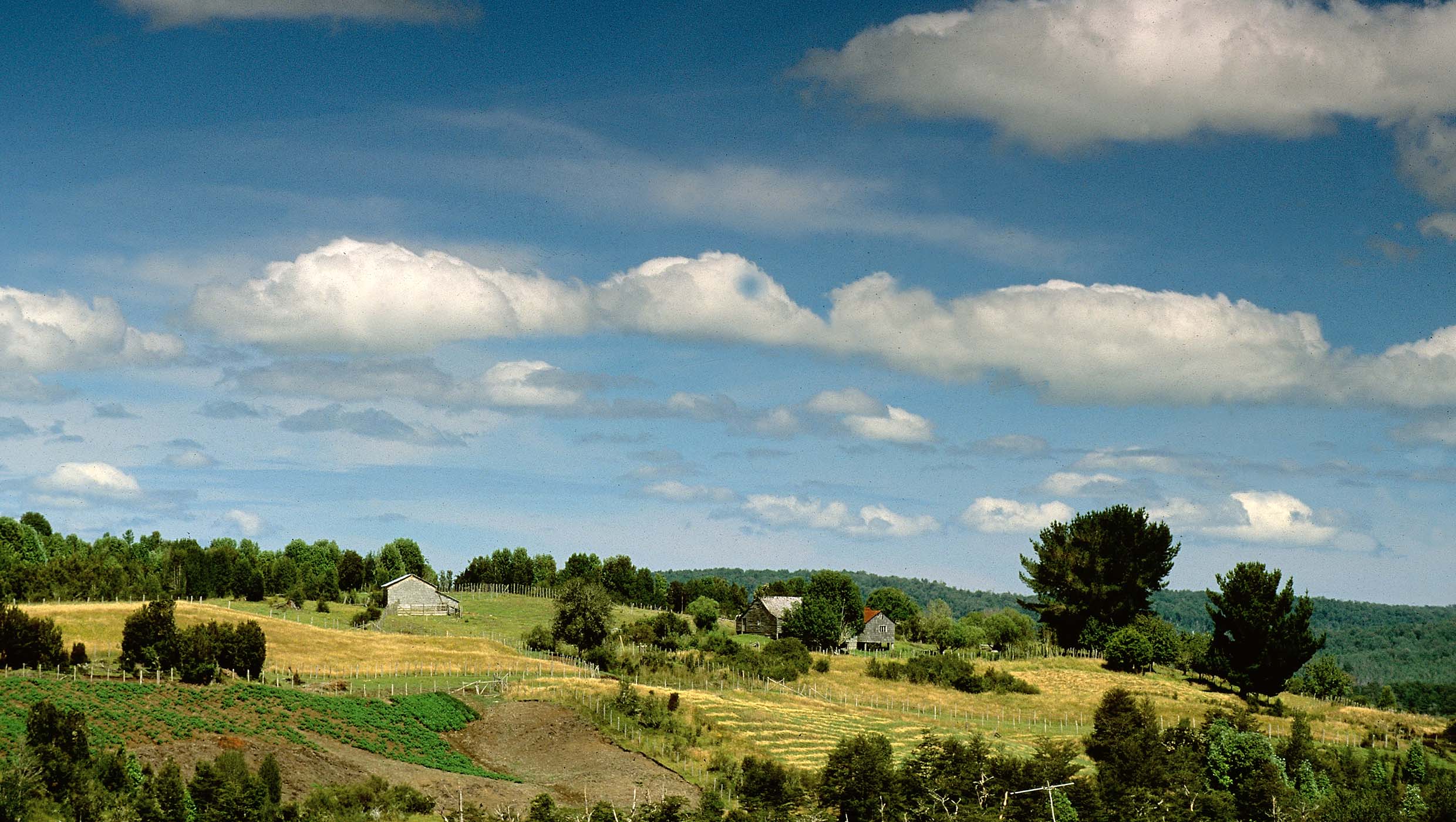 Organic farming in the Chiloé archipelago in Chile