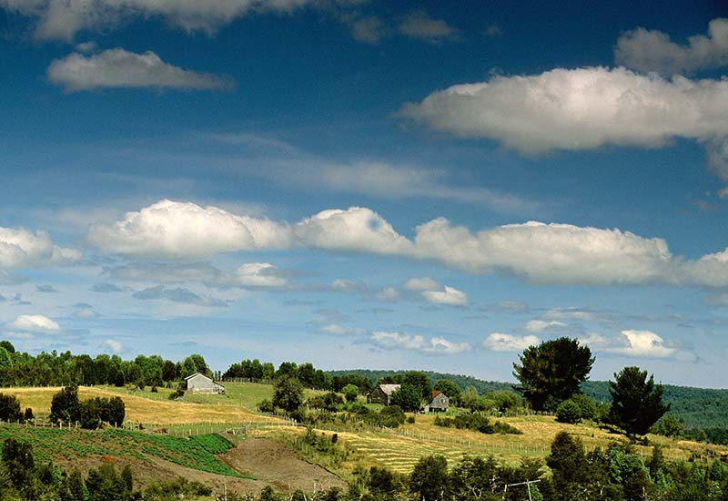 Organic farming in Chiloé