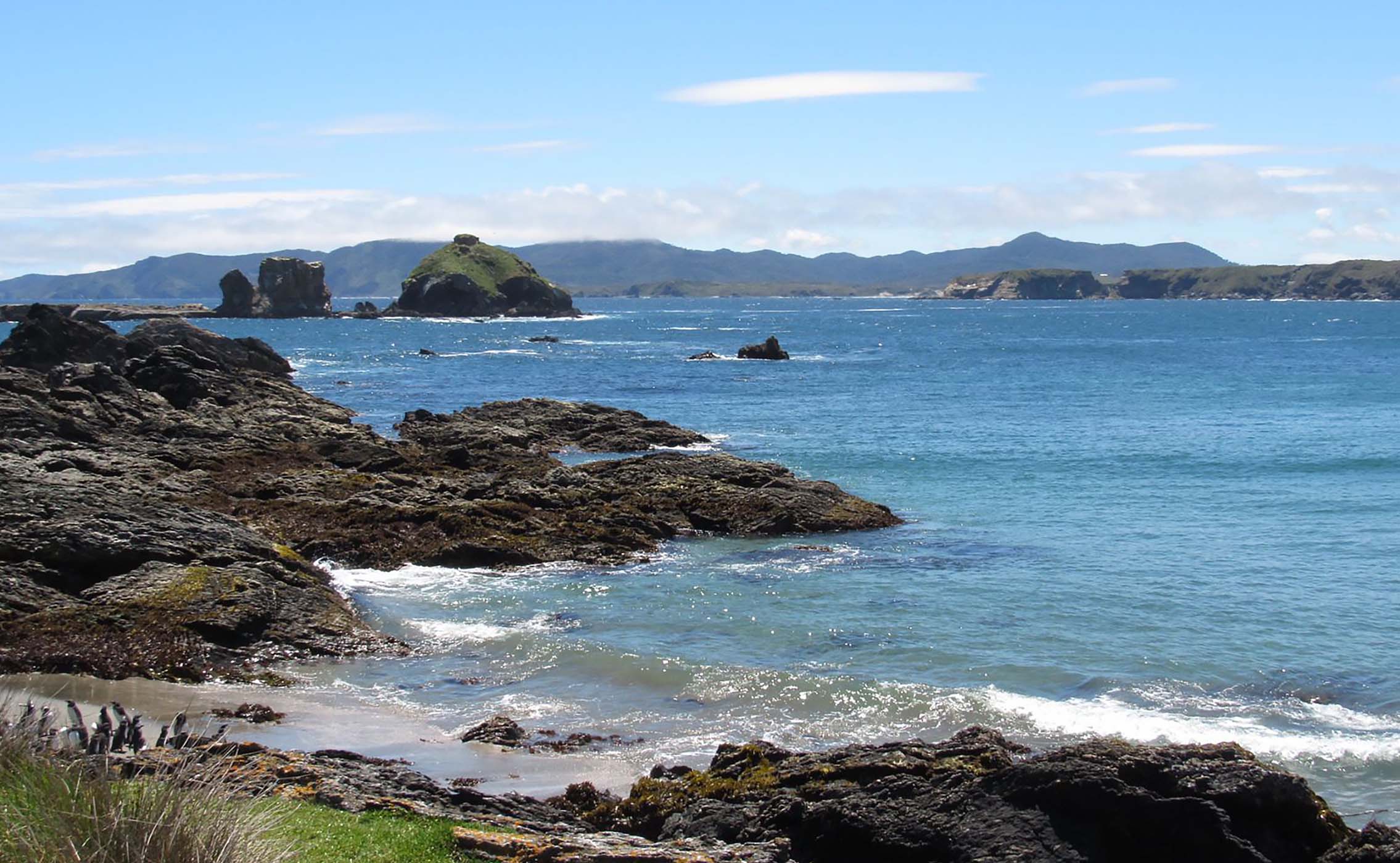Parque Ahuenco, Chiloé